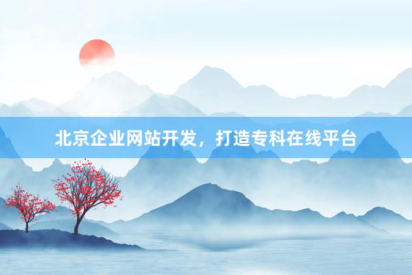 北京企业网站开发，打造专科在线平台