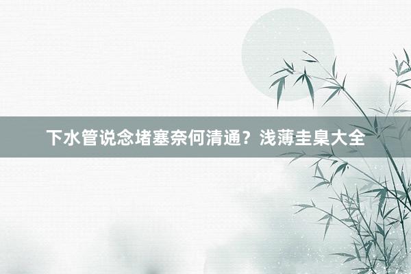 下水管说念堵塞奈何清通？浅薄圭臬大全