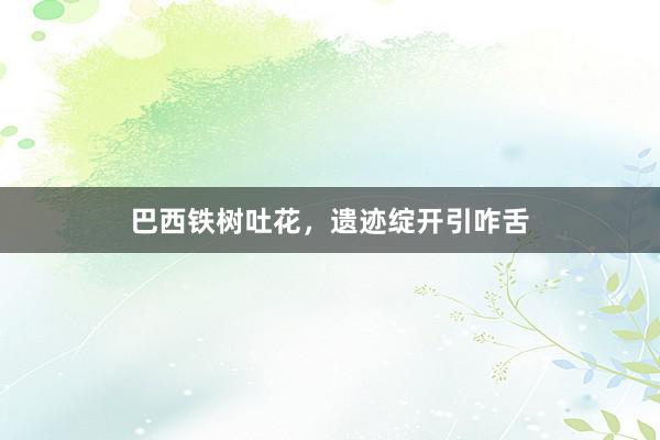 巴西铁树吐花，遗迹绽开引咋舌