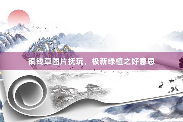 铜钱草图片抚玩，极新绿植之好意思